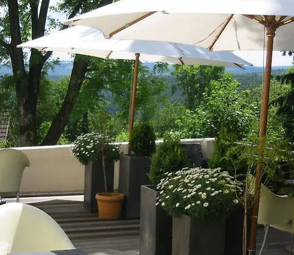 Haus Roedgen Hotell 3*